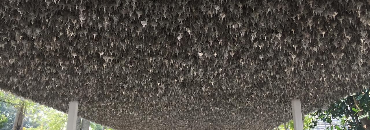 Sed quaerat laborum ducimus quas quis minima quia ut.